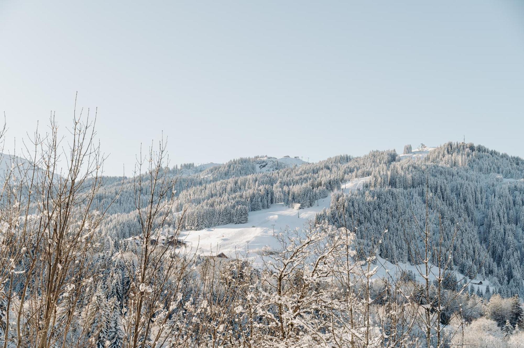 Les Chalets Du Mont D'Arbois & Spa, Межев Экстерьер фото